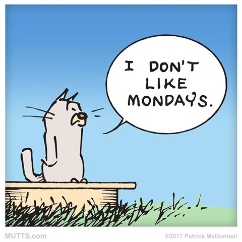 monday