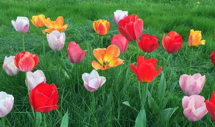 worth thinking about it 0095