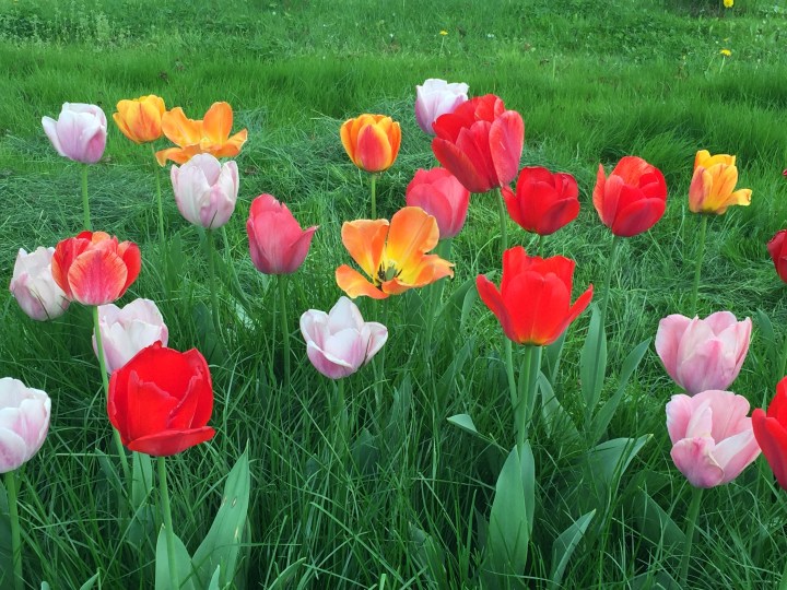 worth thinking about it 0095