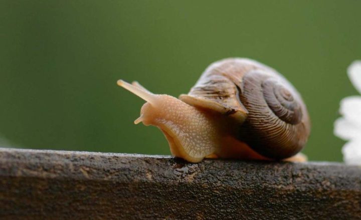 worth thinking about it 0097